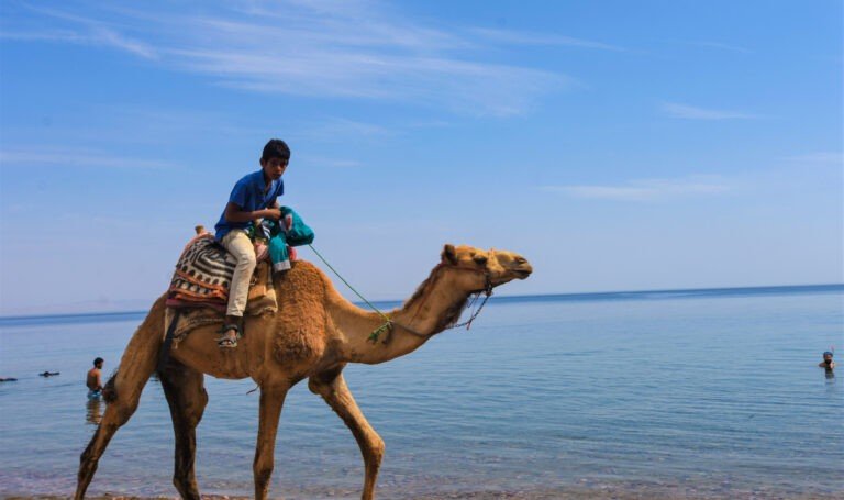 Dahab oferta 2022 2