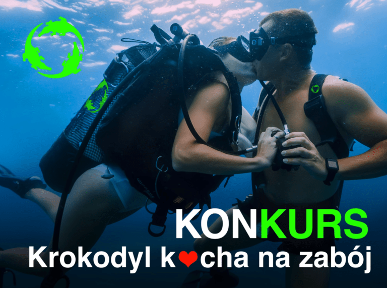 Walentyki 2022