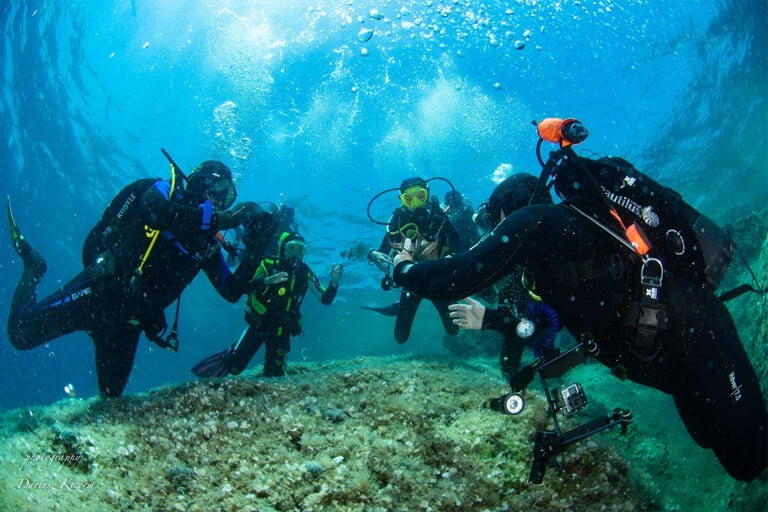 aktualnosci 768x512 openwater