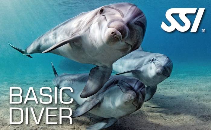 basic diver min 2