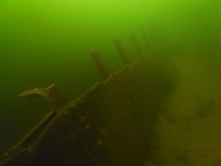 krokodyle0001 101