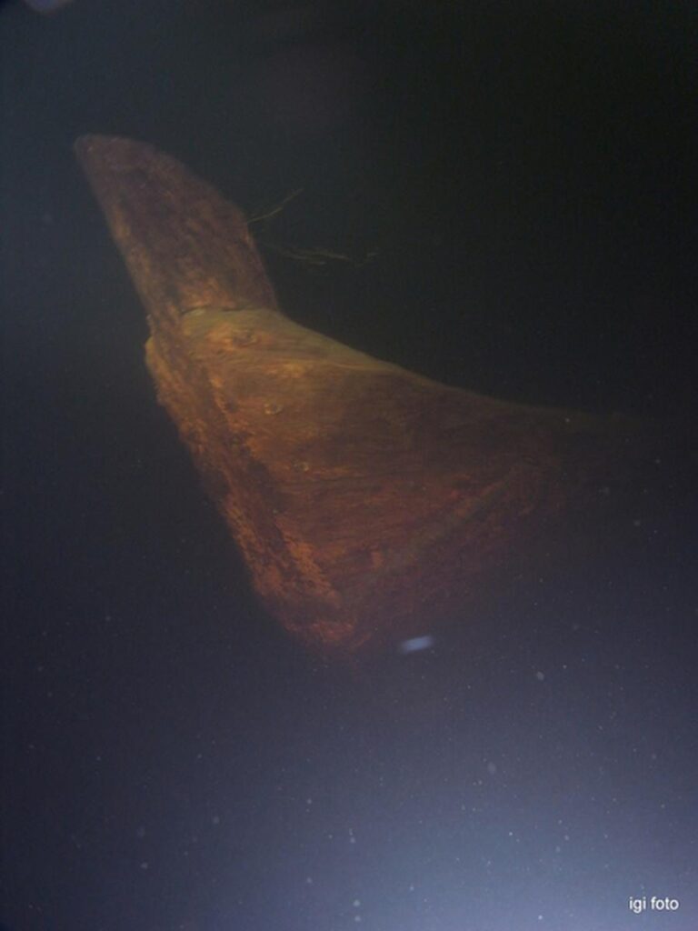 krokodyle0001 33