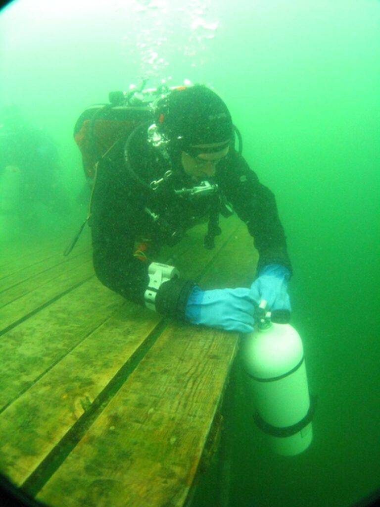 krokodyle0001 45