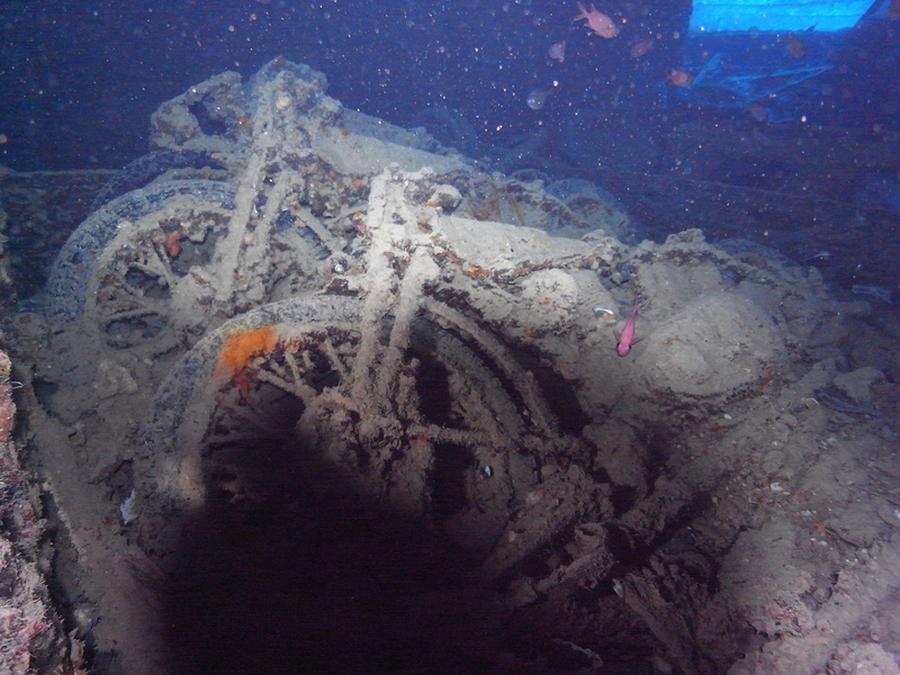 TOP PÓŁNOCY - wraki i Brother Islands- październik 2024 6 krokodyle0007 48 1
