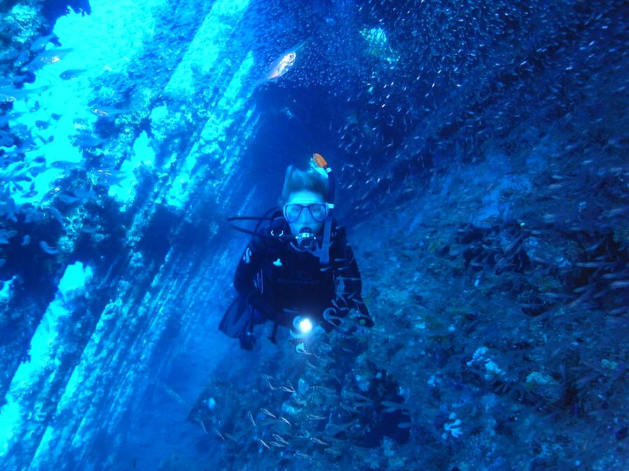TOP PÓŁNOCY - wraki i Brother Islands- październik 2024 7 krokodyle0055 16 1
