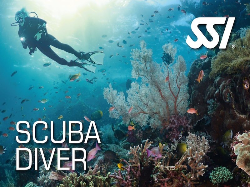 scuba diver min