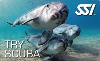 try scuba